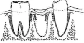 Figure 4. Magnetic field  