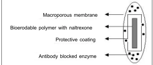 Fig. 3: Schematic representation of triggered drug delivery system Naltrexone embedded in the poly(ortho ester) is released only in response to external opiates