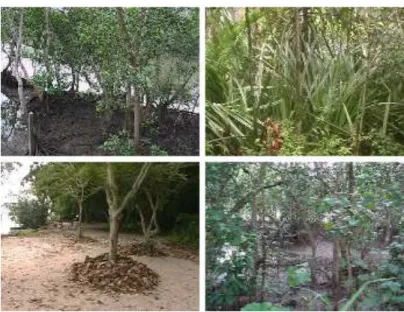 Figure 4.2: Examples of scenes with large depth discontinuities on which 2D- 2D-geometry-enhanced approach may fail and 3D method is required.