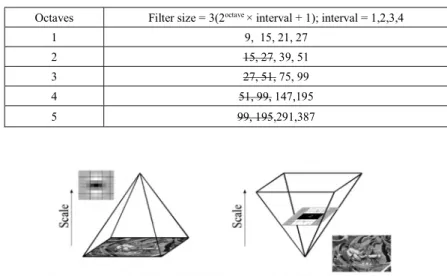 Table 3: Octaves and its filter size (equivalent filter with the same size can be removed (i.e