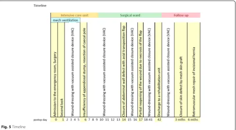 Fig. 5 Timeline