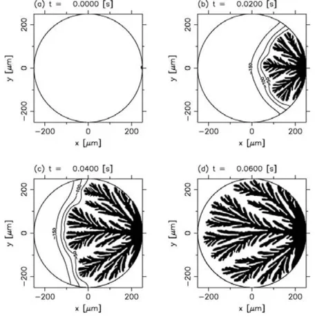 Fig. 2.Result of phase-ﬁeld simulation for �Ts,0= 200 K andqs = 5 × 108 erg cm−2 s−1. A circle of 250 μm in radius is the ex-ternal shape of droplet and the target of the calculation is only insidethe circle