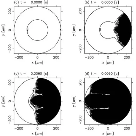 Fig. 3.Result of phase-ﬁeld simulation for �Ts,0= 300 K andqs = 2 × 109 erg cm−2 s−1. The initial condition (a), and t = 0.008s (b), 0.016 s (c), and 0.024 s (d) after seeding