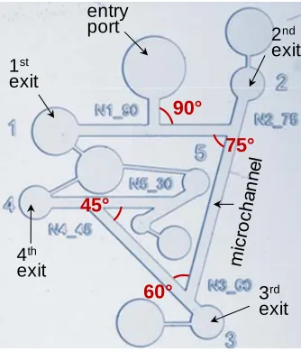 Figure 2. Experimental data from angled T-maze structures showing the percentage of worms making a right or left turn for a certain angle of intersection (˚)
