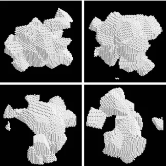 Fig. 5. Images of four samples of agglomerated debris particles.