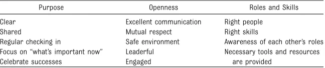 TABLE 1 Summary of Key Elements of Highly Effective Teams