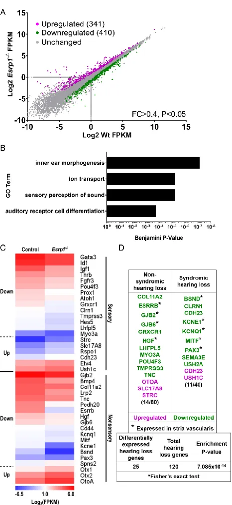 Figure 2.8. Sensory and nonsensory gene expression profiles are disrupted in the 