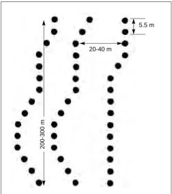 Figure B-3. Threat-Style Antitrack Minefield