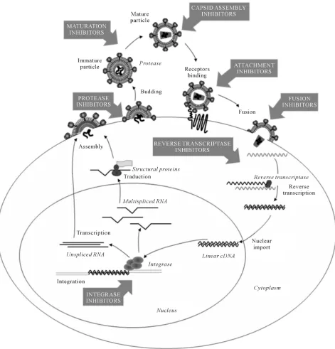 Figure 4. HIV-1 life cycle and current inhibitors of HIV-1 replication. Current anti-HIV-1 therapies inhibit reverse tran-scriptase and the HIV-1-encoded protease