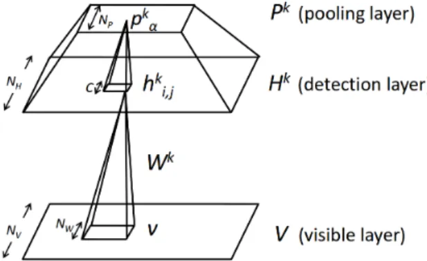 Figure 2.4: Convolutional Restricted Boltzmann Machine