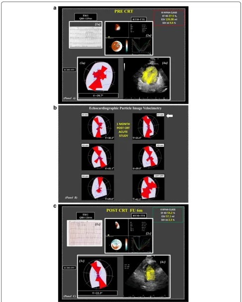 Fig. 1 (See legend on next page.)