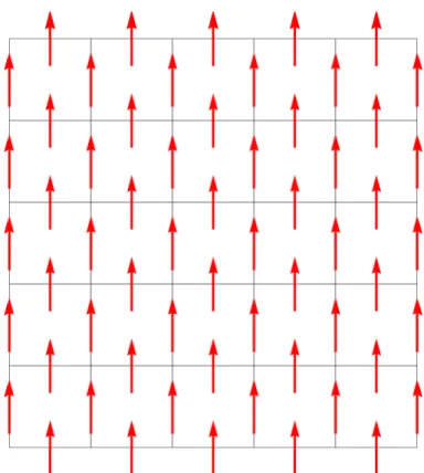 Figure 2.2: Ising gauge model on the square lattice: Each spin is defined on the link of the lattice and takes binary values from {−1, 1}.