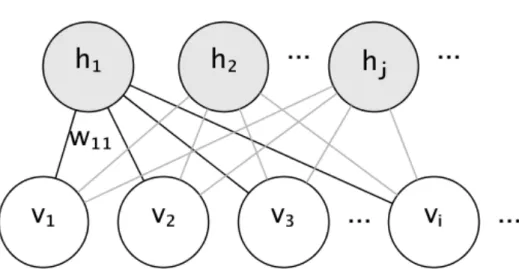 Figure 3.3: The architecture of restricted Boltzmann machine: the hidden units on the top are connected to the visible units at the bottom