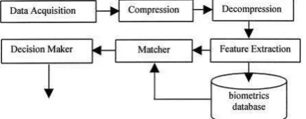 Fig. 1 A Generic Biometrics-Based System 