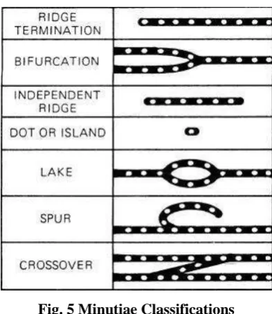 Fig. 6 Minutiae Graph 