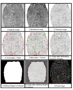 TABLE I Steps of Fingerprint Recognition 