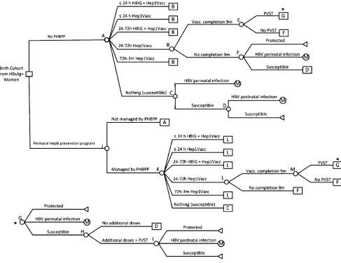 FIGURE 1Decision tree model.Decisionnoderepresentedbysquares, chance nodebycircles, and terminalnodes bytriangles