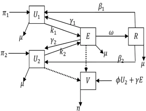 Figure 2. Unemployment Model Flow diagram. 