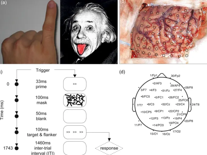 Fig. 4. Experimental setup. Case 1 is a two-class motor imagery experiment, where the subject had to imagine ﬁnger or tongue movement according to visual cues (a)