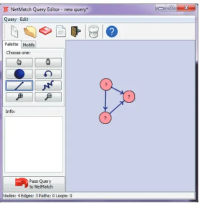 Figure 2.16: The plugin NetMatch allows a user to draw a query. In essence, a query is a predicate