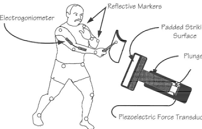 Fig. 1. Experimental set-up.