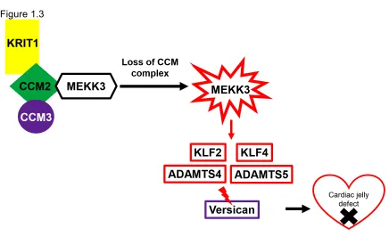 Figure  1.3  