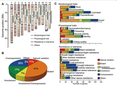 Figure 1 Overview of the functionally characterized genes in rice. (A) Genomic distribution of the 702 functionally characterized genescompiled during this study