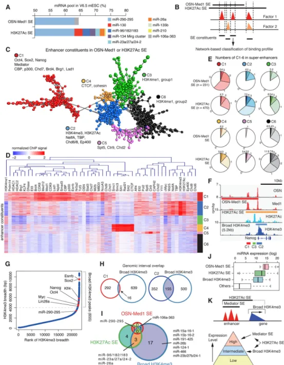 Figure 3. Network-based visualization of super-enhancer composition