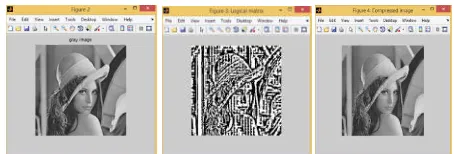 Figure 2. Baboon Image (a) Gray scale image (b) logical matrix image (c) compressed image 