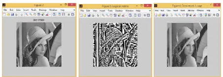 Figure 11. Baboon Input image (a) gray scale image (b) logical matrix image (c) compressed image  