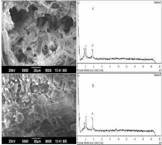 Figure 2. SEM Images at 800× Magnification and EDX Spectra of Sal Powder (0.3mm) Before (a) and After (b) Fluoride Adsorption