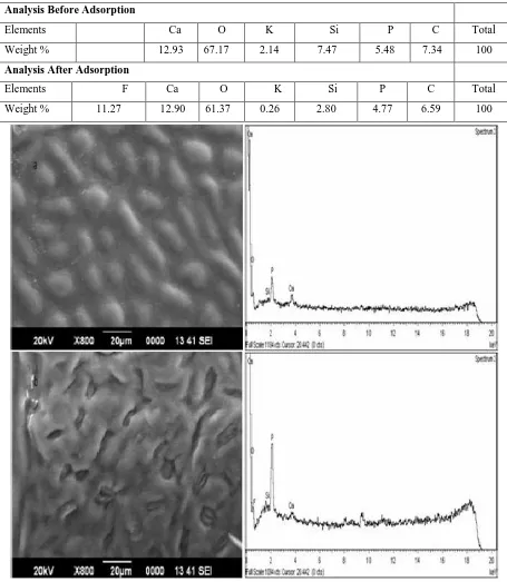 Figure 3. SEM Images at 800× Magnification and EDX Spectra of Sal Powder (1mm) Before (a) and After (b) Fluoride Adsorption