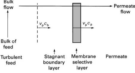 Figure 1Schematic of the boundary layer adjacent to themembrane surface. If cp'cb: component is enriched in per-meate
