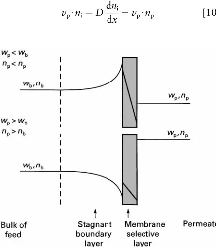 Figure 2Schematic of the concentration polarization phenom-nenon. The concentration profiles in the boundary layer result fromthe separation achieved by the membrane
