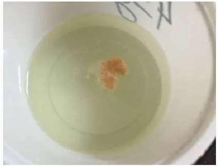 Fig. 1. Pilot study with meat chunk in 45 g concentration of sodium nitrite in distilled water  