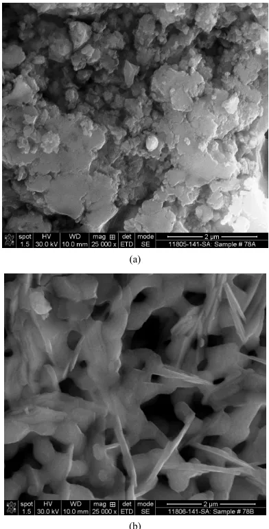 Figure 4. (a) SEM image of Ba0.5thode powder (#78b). powder (#78a); (b) SEM image of BaSr0.5Co0.2Fe0.8O3 cathode 0.5Sr0.5Co0.2Fe0.8O3 ca-  