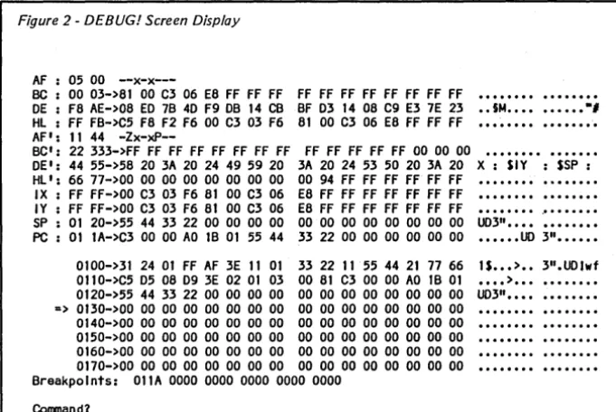 Figure 2 - DEBUG! Screen Display 
