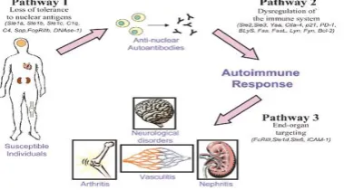 Fig. 1. Occurrence of Lupus 