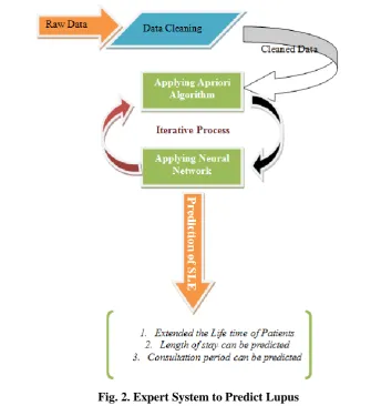 Fig. 2. Expert System to Predict Lupus 