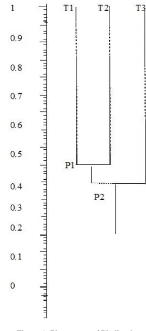 Figure 1: Phenogram of Phyllanthus amarus;  T2. Phyllanthus emblica ; T3. Phyllanthus