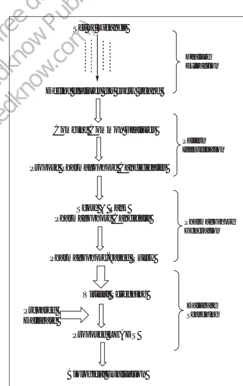 Fig. 2: Flow chart of the virtual screening process using pharmacophore method 