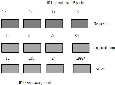Fig. 1 IP ID field assignment 