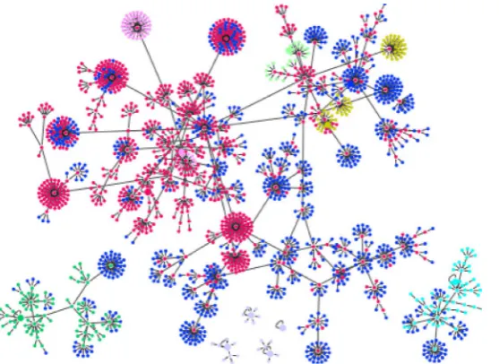 Figure 3. (Color online) The basin structure of G( )0 classificated by colors depending  