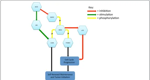 Figure 2 This schematic highlights many of the signaling pathways MELK is involved in