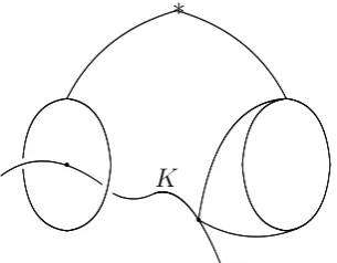 Figure 4.5: Noose boundary loops