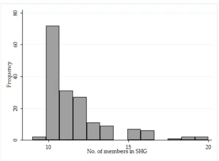 Figure 4.5: Self-Help Group Size