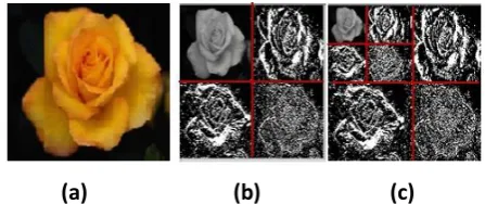 Figure 2 (a) The original image (b) Image obtained using 1-level Haar DWT. The levels are distinguished by 