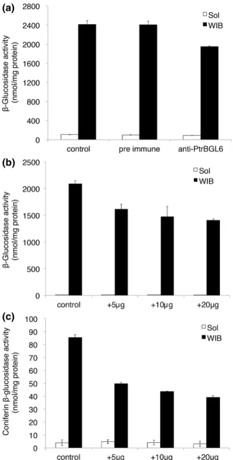 Fig. 3 PtrBGL6dance measured via semi-quantitative RT-PCR ofrRNA was used as control to ensure equal RNA loading.Xand standardized relative to leaf value which have been arbitrarily set expression analysis in poplar
