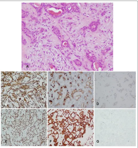 Figure 4 Histological and immunohistochemical evaluation of superficial areas (groups 1 and 2)