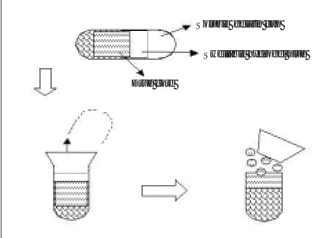 Fig. 2: Design of Pulsincap® system. 